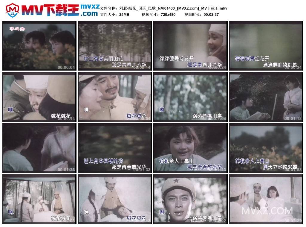 刘雁-绒花_国语_民歌_NAI01433